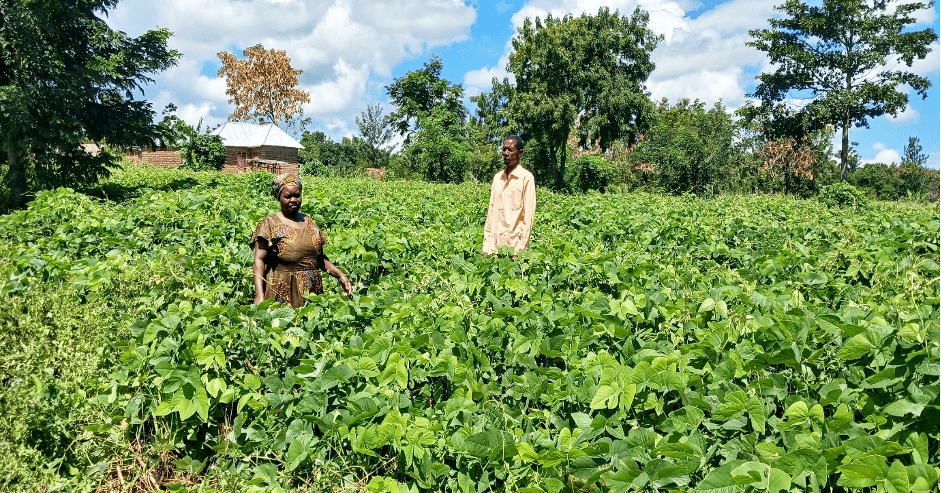 Maziba and Veronica farm